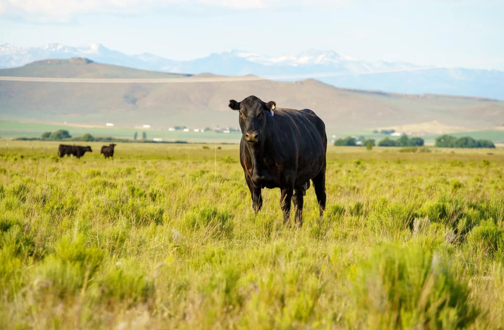 Oregon Ranch For Sale