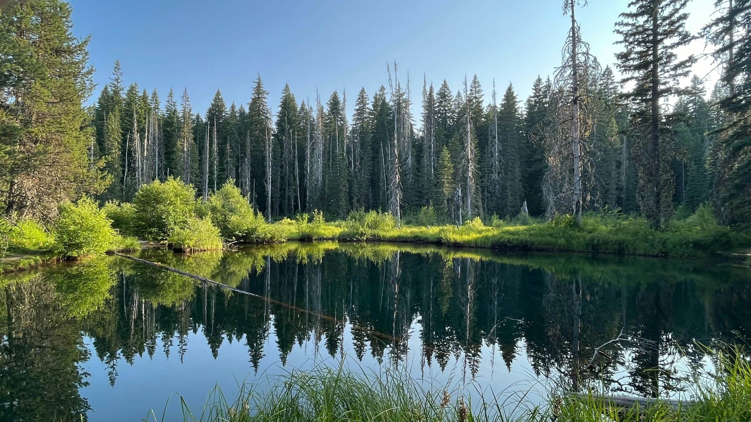 Oregon Landscape