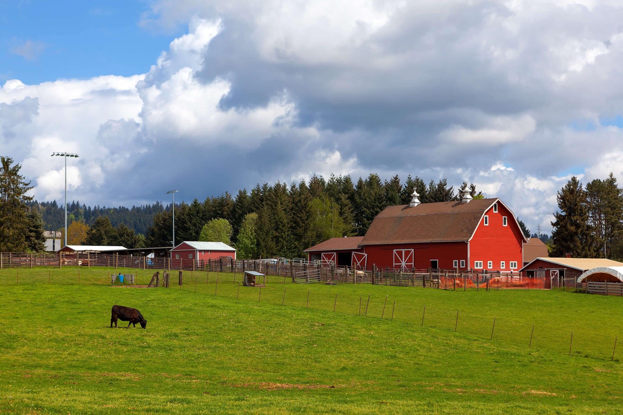 Homestead vs. Farm Planning for Oregon Land Buyers